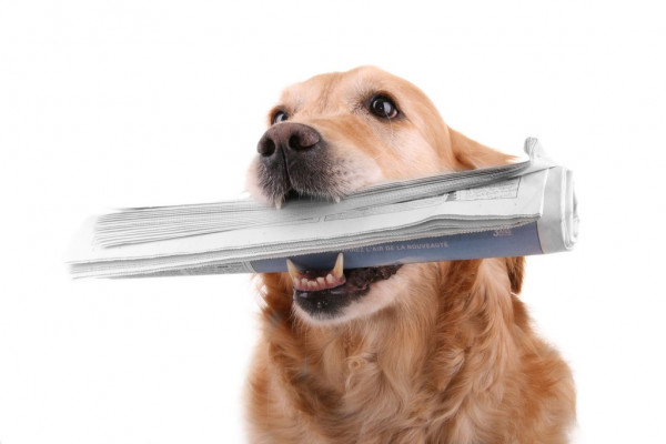 Юрий Подоляка 30.05.2024  последний выпуск, свежие сводки и новости с фронта