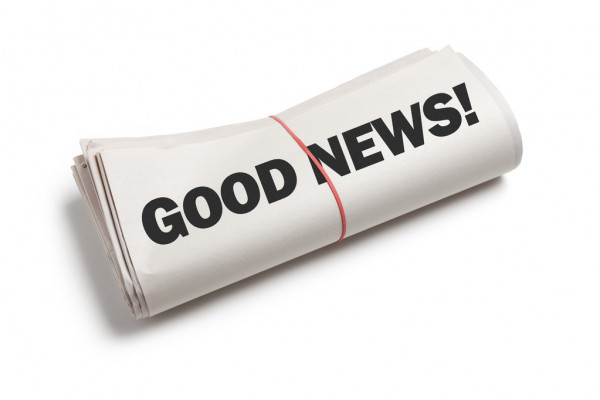 В Череповце на Южном шоссе водитель сшиб молодые клёны