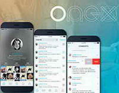 Жителям Брянской области сообщили о больших ценах на клубнику из-за заморозков